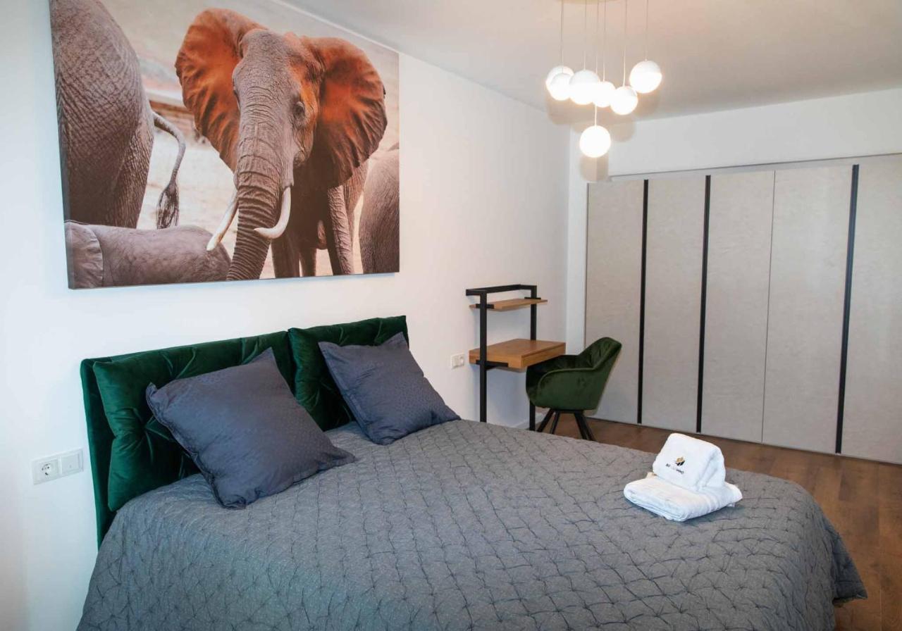 Bg Luximmo Apartments Kluż-Napoka Zewnętrze zdjęcie